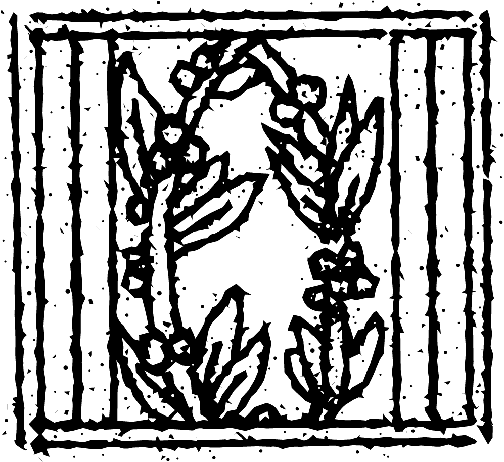 Muelas de cangrejo